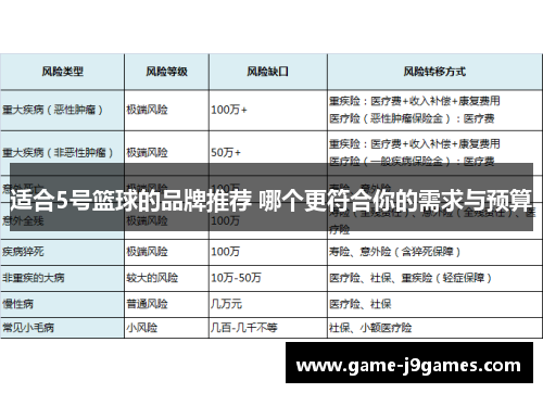 适合5号篮球的品牌推荐 哪个更符合你的需求与预算